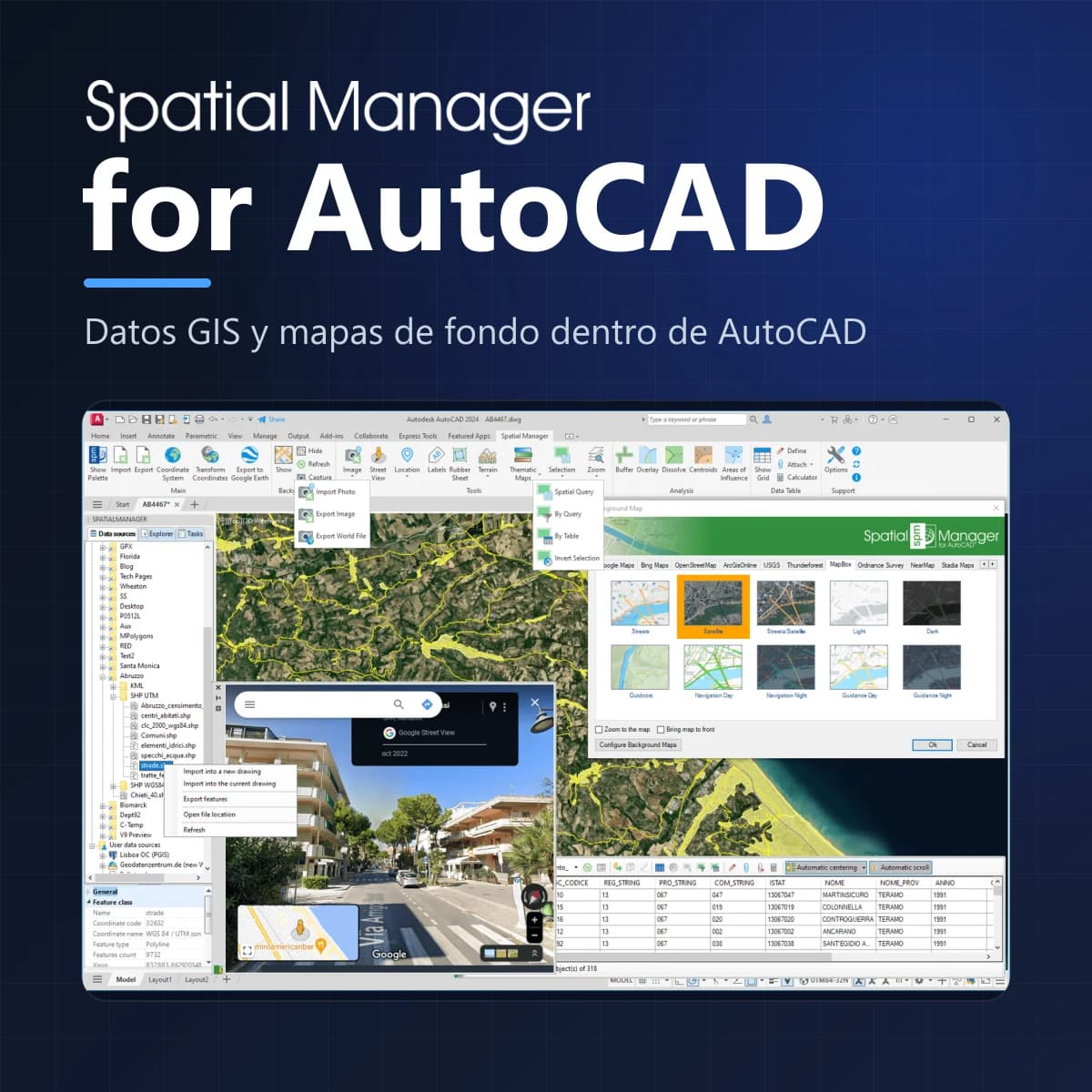 Spatial Manager for AutoCAD